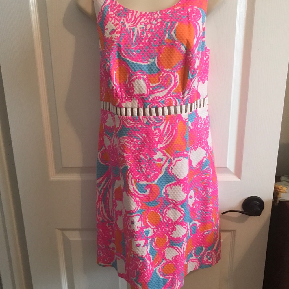 Sold. Lilly Pulitzer Iggy Dress Size. 4 or 10